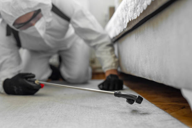 Professional Emergency Pest Control technician working in Mapleton, ND