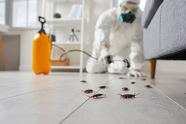 Affordable Emergency Pest Control solutions in Mapleton, ND