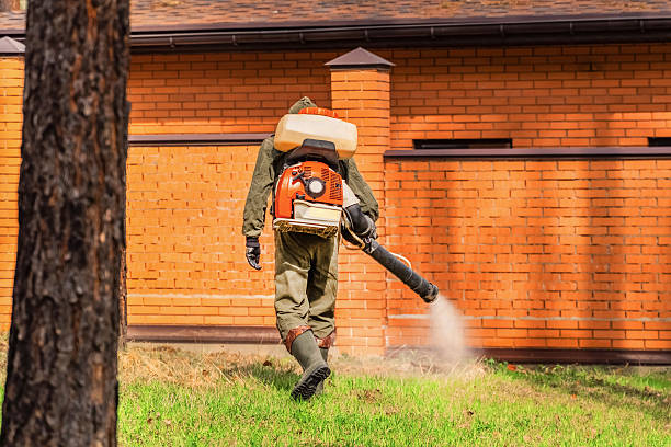 Top rated local Emergency Pest Control specialists in Mapleton, ND
